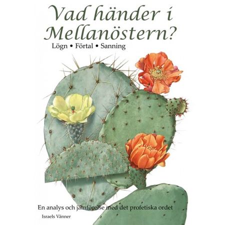 Vad händer i Mellanöstern?