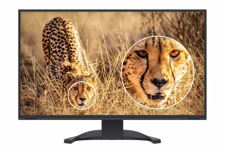 EIZO Flexscan EV3240X-BK, svart