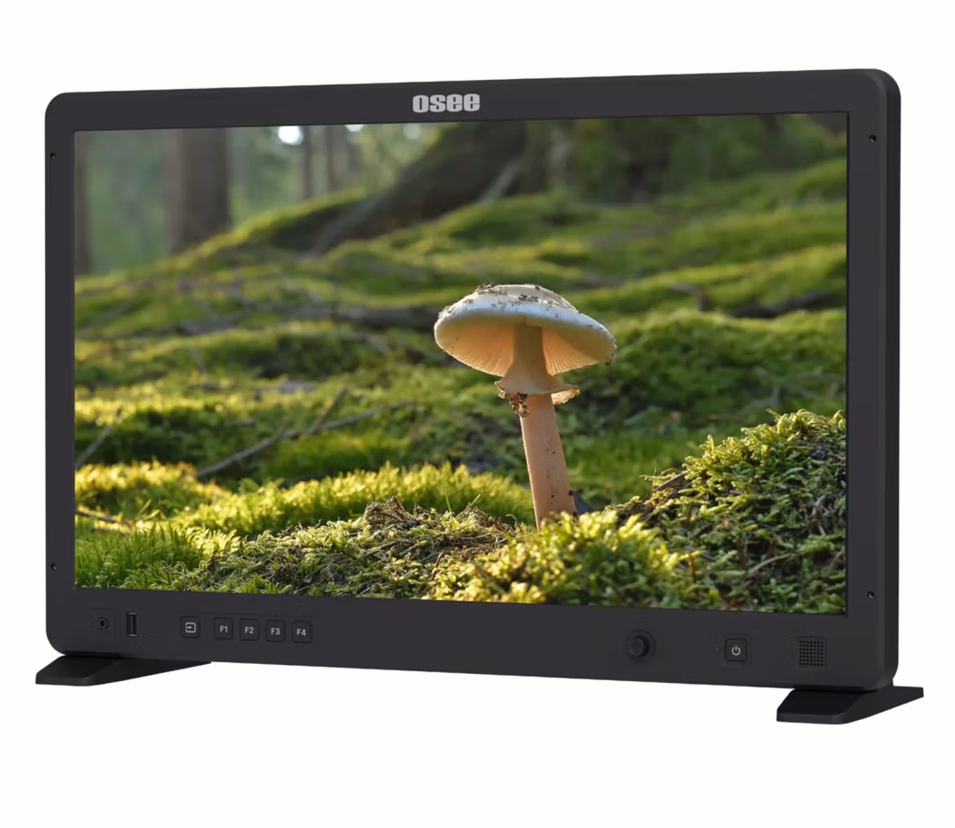 Osee Mega 22S Kit 21.5" monitor