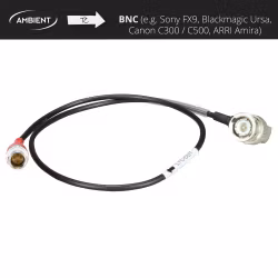 Ambient LTC-OUT - Timecode Cable PushPull-5-pin (Lemo-compatible) to BNC