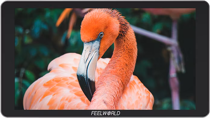 Feelworld Monitor P6XL 6", indbygget batteri 120 minutter med 100% lysstyrke!