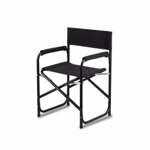 Selens Stainless steel Director Chair