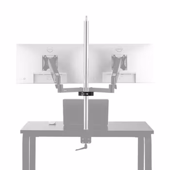 Selens Double Mounting Point