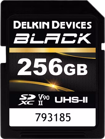Delkin SDXC BLACK Rugged UHS-II R300/W250 (V90) 256GB (new)