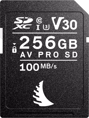 Angelbird SD AV PRO SDXC, SD 6.1, UHS-I, R100/W92 (V30) 256GB