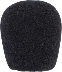 Hollyland Solidcom SE Mic Cushion 01
