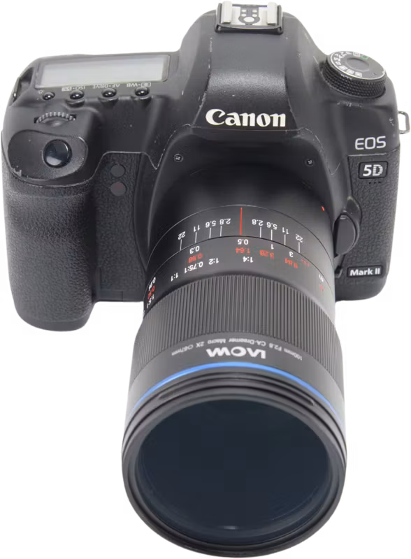 Laowa 100mm f/2.8 2x Ultra Macro APO Lens - Canon EF (Auto Aperture)
