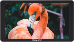 Monitor Feelworld P6XL de 6", batería integrada con 120 minutos de autonomía al 100% de brillo.
