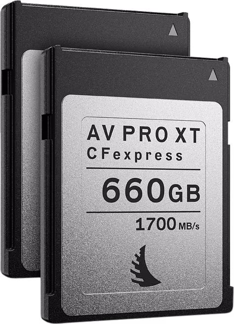 Angelbird Match Pack for Canon EOS C300 MK3 | C500 MK2 660GB | 2 PACK XT