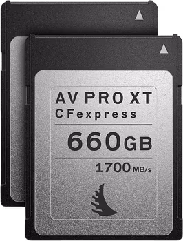 Angelbird Match Pack for Canon EOS C300 MK3 | C500 MK2 660GB | 2 PACK XT