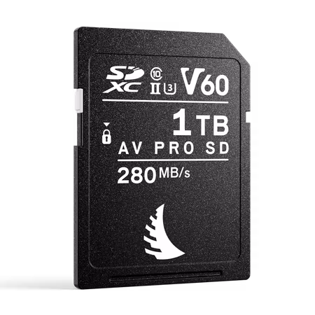Angelbird SD AV PRO MK2 (V60) 1TB | 1 PACK