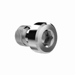 1/4"x20 Hex Screw - Camera Fixing Screw