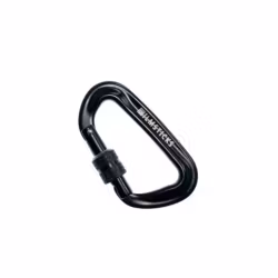 Locking Carabiner (not for climbing)