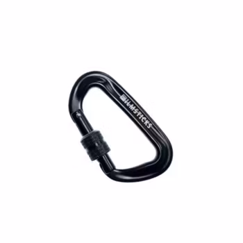 Locking Carabiner (not for climbing)