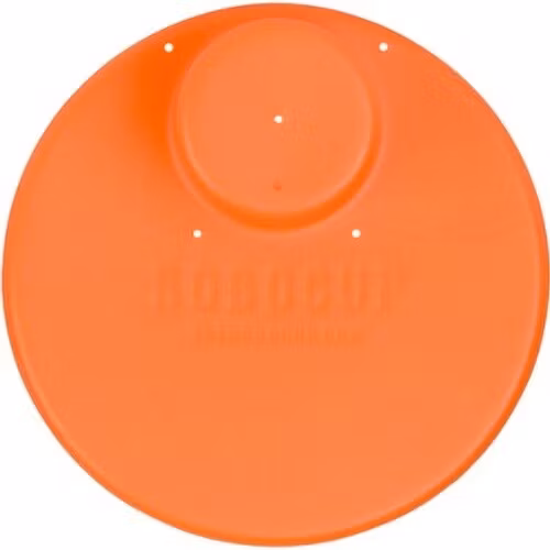 Plate: Orange