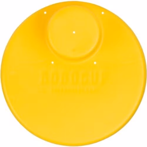 Plate: Yellow