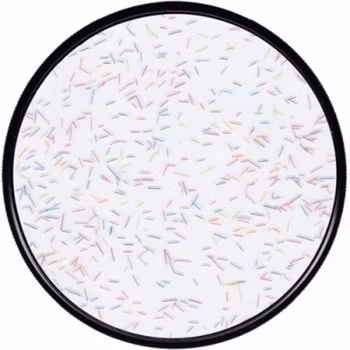 CF TRUE-STREAK CONFETTI M77