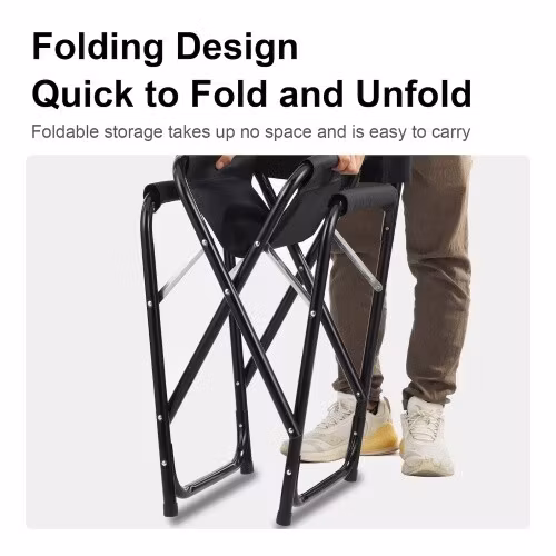 Selens Stainless steel Director Chair