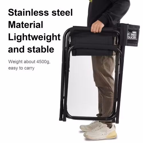 Selens Stainless steel Director Chair