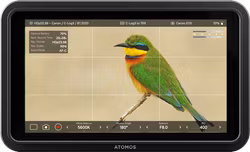 Atomos Shinobi II - 5-inch 1500nit HDMI monitor