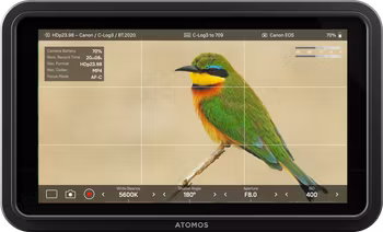 Atomos Shinobi II - 5-inch 1500nit HDMI monitor