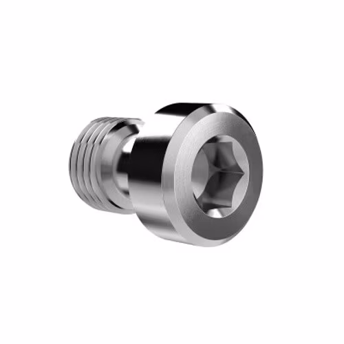 1/4"x20 Hex Screw - Camera Fixing Screw