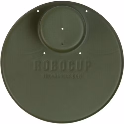 Plate: Olive