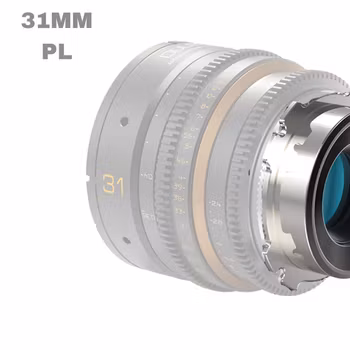 Dulens Mini Prime PL Mount 31mm