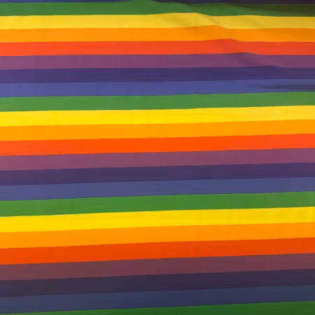 Regnbågsränder bomullsjersey