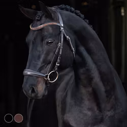 Hansbo Sport träns HELIX