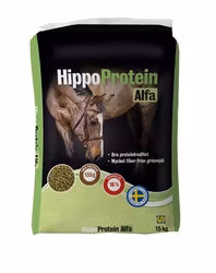 Hippo protein Alfa