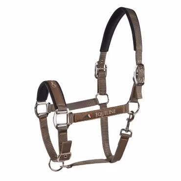 Equiline Nylongrimma Timmy
