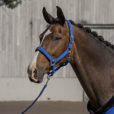 HORKA Equestrian PRO Grimma & Grimskaft