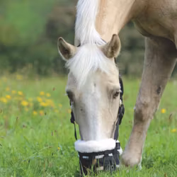 Gräs/Betesreducerare Shires DELUXE