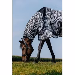Riding World Flugtäcke Zebra
