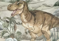 T6477 Joggingtyg T-rex (40 x 50 cm) 5-pack