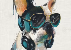 T6417 Joggingtyg Cool hund (40 x 50 cm) 5-pack