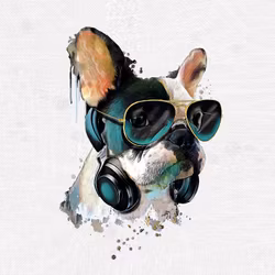 T6417 Joggingtyg Cool hund (40 x 50 cm) 5-pack