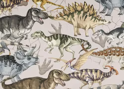 T6479 Joggingtyg Dinosaurer grå (5 m)