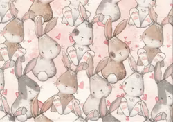 T6275 Joggingtyg Kaninfamilj (5 m)