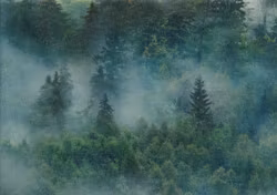 T6133 Joggingtyg Skogen (5 m)