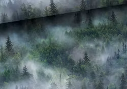 T6133 Joggingtyg Skogen (5 m)