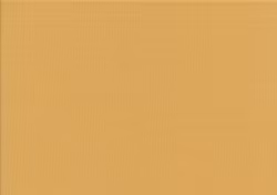 T5254 Joggingtyg senapsgul (5 m)