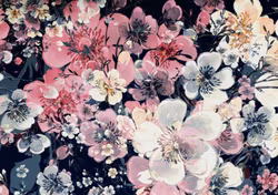 T6673 Trikå Körsbärsblommor (5 m)