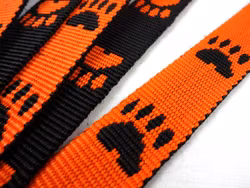 B443 Polypropylenband Tass 20 mm orange (50 m)
