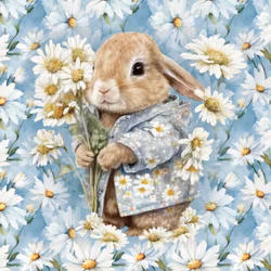 T6884 Joggingtyg Kanin prästkrage (40 x 50 cm) 5-pack