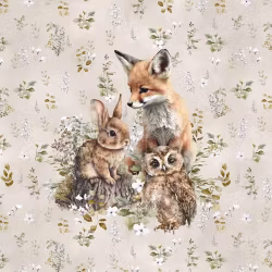 T6920 Joggingtyg Skogsdjur (40 x 50 cm) 5-pack