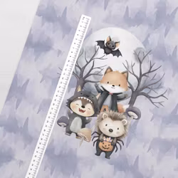 T7168 Joggingtyg Halloweenkompisar (40 x 50 cm) 5-pack