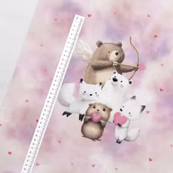 T7208 Joggingtyg Hjärtevänner (40 x 50 cm) 5-pack