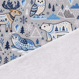 T7349 Joggingtyg Vinterriket (5 m)